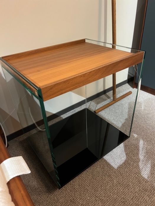 4212.1 TRAY von DREIECK_3.jpg